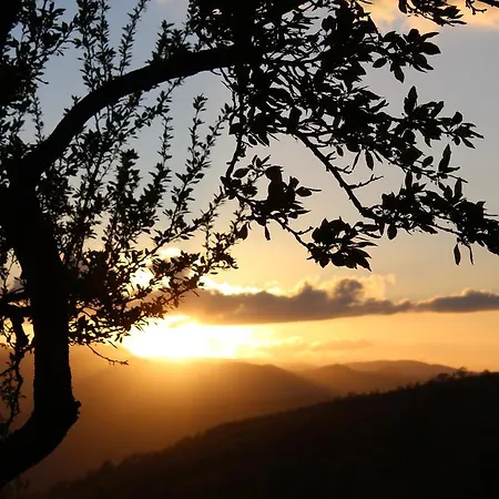 A Casa Di Urbi Pennabilli